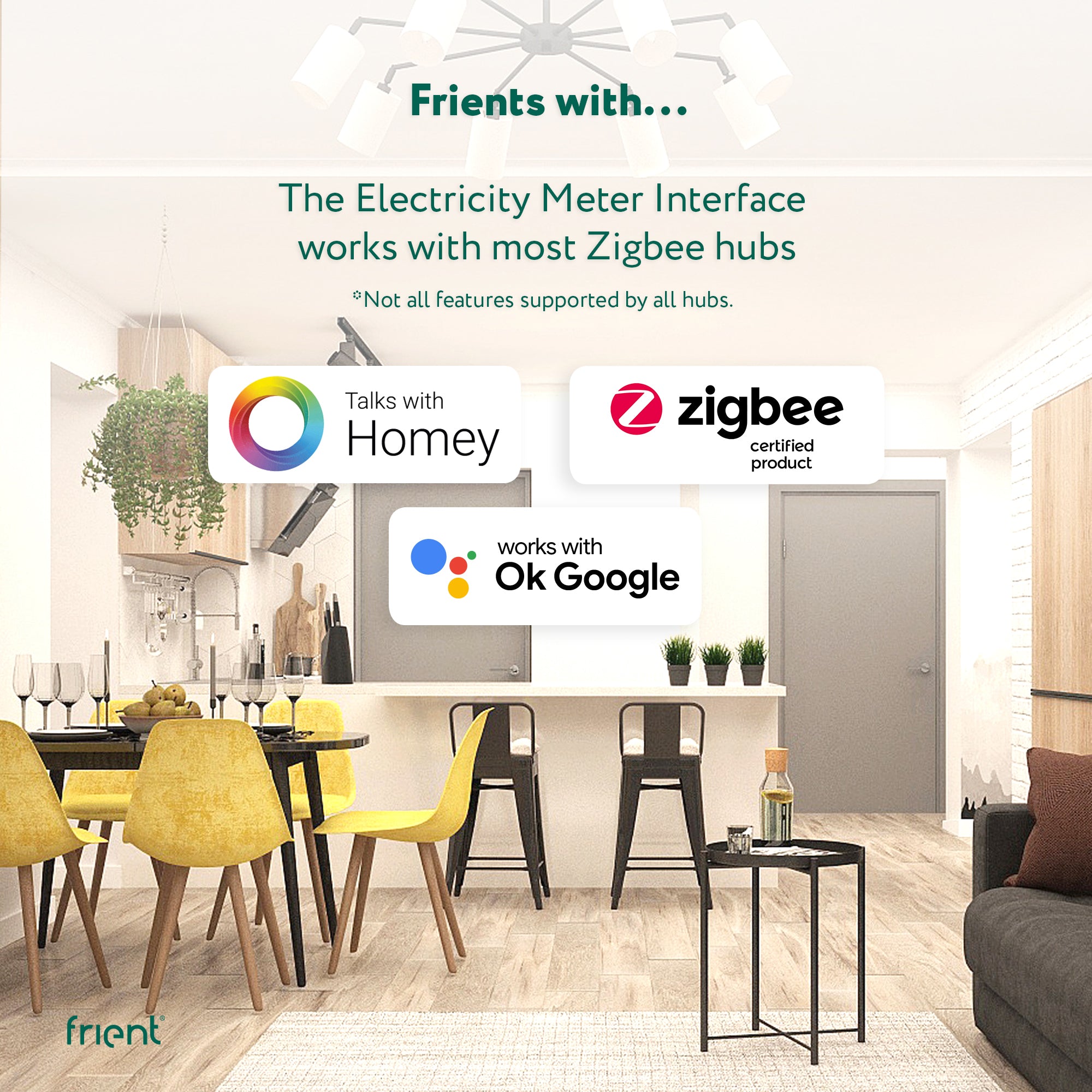 frient Electricity Meter Interface 2 LED (Zigbee)